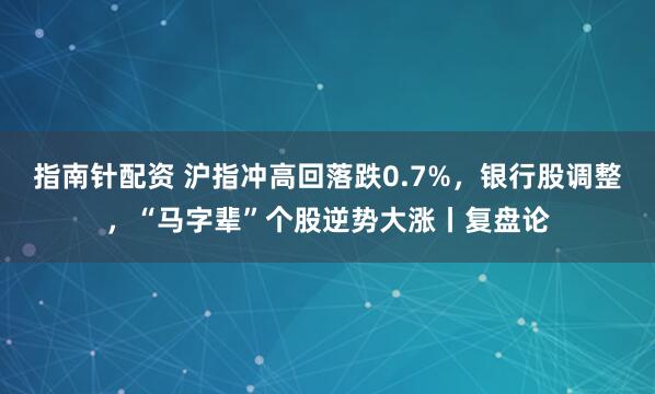 指南针配资 沪指冲高回落跌0.7%，银行股调整，“马字辈”个股逆势大涨丨复盘论