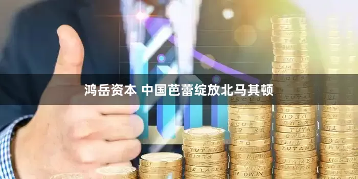鸿岳资本 中国芭蕾绽放北马其顿