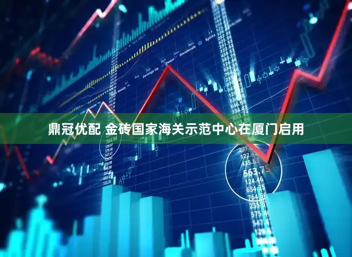 鼎冠优配 金砖国家海关示范中心在厦门启用