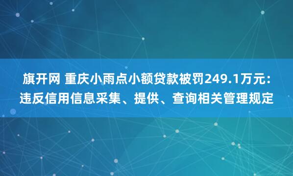 旗开网 重庆小雨点小额贷款被罚249.1万元：违反信用信息采集、提供、查询相关管理规定