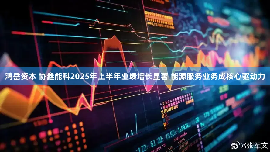 鸿岳资本 协鑫能科2025年上半年业绩增长显著 能源服务业务成核心驱动力