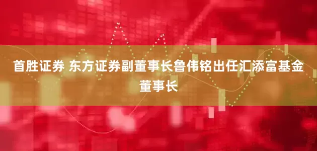 首胜证券 东方证券副董事长鲁伟铭出任汇添富基金董事长